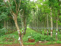 Ảnh bìa bài viết 313001