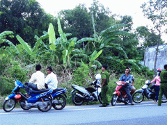 Ảnh bìa bài viết 313169