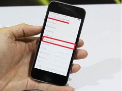 Ảnh bìa bài viết 313017