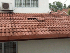 Ảnh bìa bài viết 313174