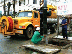 Ảnh bìa bài viết 313168