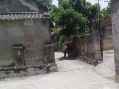 Ảnh bìa bài viết 313331