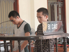 Ảnh bìa bài viết 313373