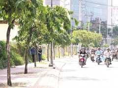 Ảnh bìa bài viết 313447