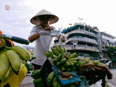 Ảnh bìa bài viết 313523