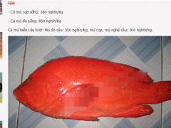Ảnh bìa bài viết 313377