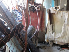 Ảnh bìa bài viết 313454