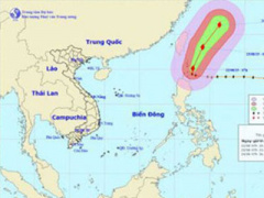 Ảnh bìa bài viết 313807