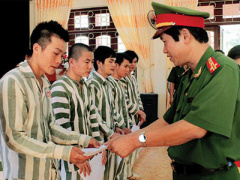 Ảnh bìa bài viết 313804