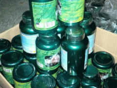 Ảnh bìa bài viết 313944