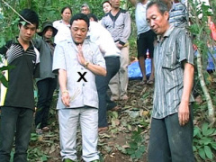 Ảnh bìa bài viết 313877