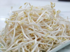 Ảnh bìa bài viết 314084