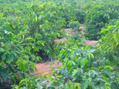 Ảnh bìa bài viết 314185