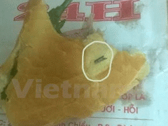 Ảnh bìa bài viết 314312