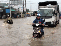 Ảnh bìa bài viết 314305