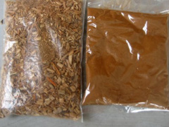 Ảnh bìa bài viết 314444