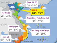 Ảnh bìa bài viết 314321