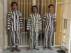 Ảnh bìa bài viết 314468