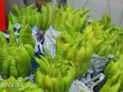 Ảnh bìa bài viết 314479