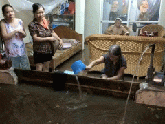 Ảnh bìa bài viết 314502