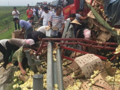 Ảnh bìa bài viết 314577