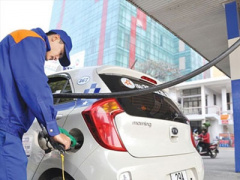 Ảnh bìa bài viết 314546