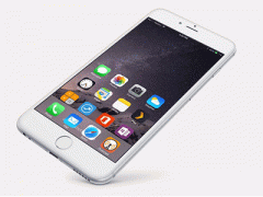 Ảnh bìa bài viết 315017