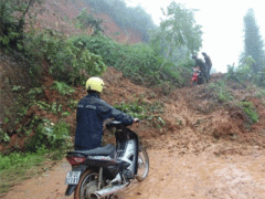 Ảnh bìa bài viết 315091