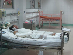 Ảnh bìa bài viết 315251