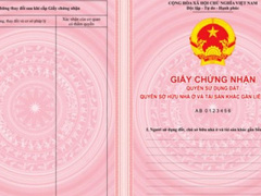 Ảnh bìa bài viết 315258