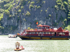 Ảnh bìa bài viết 315195