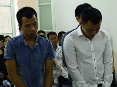 Ảnh bìa bài viết 315249