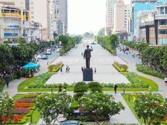 Ảnh bìa bài viết 315458