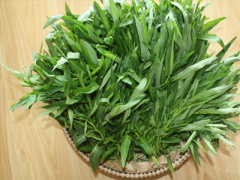 Ảnh bìa bài viết 315548