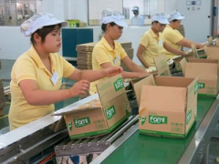 Ảnh bìa bài viết 315556