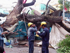 Ảnh bìa bài viết 315733