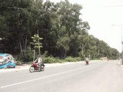 Ảnh bìa bài viết 315758