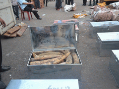Ảnh bìa bài viết 315748