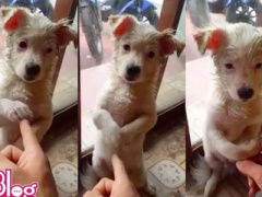 Ảnh bìa bài viết 315871