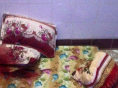 Ảnh bìa bài viết 315802