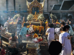 Ảnh bìa bài viết 315931