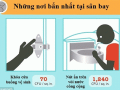 Ảnh bìa bài viết 316042
