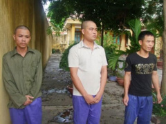 Ảnh bìa bài viết 316027
