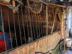 Ảnh bìa bài viết 316144