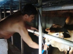 Ảnh bìa bài viết 316056