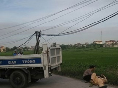 Ảnh bìa bài viết 316117