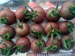 Ảnh bìa bài viết 316175