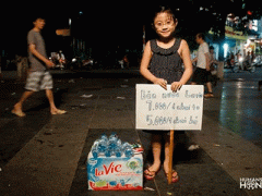 Ảnh bìa bài viết 316343