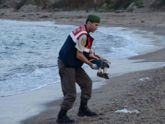 Ảnh bìa bài viết 316163