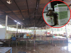 Ảnh bìa bài viết 316316